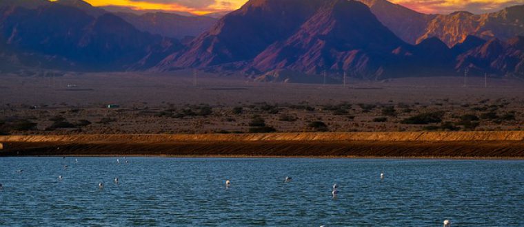 מתכננים טיול באילת? כדאי שתכירו את האתר "אטלנטיס"