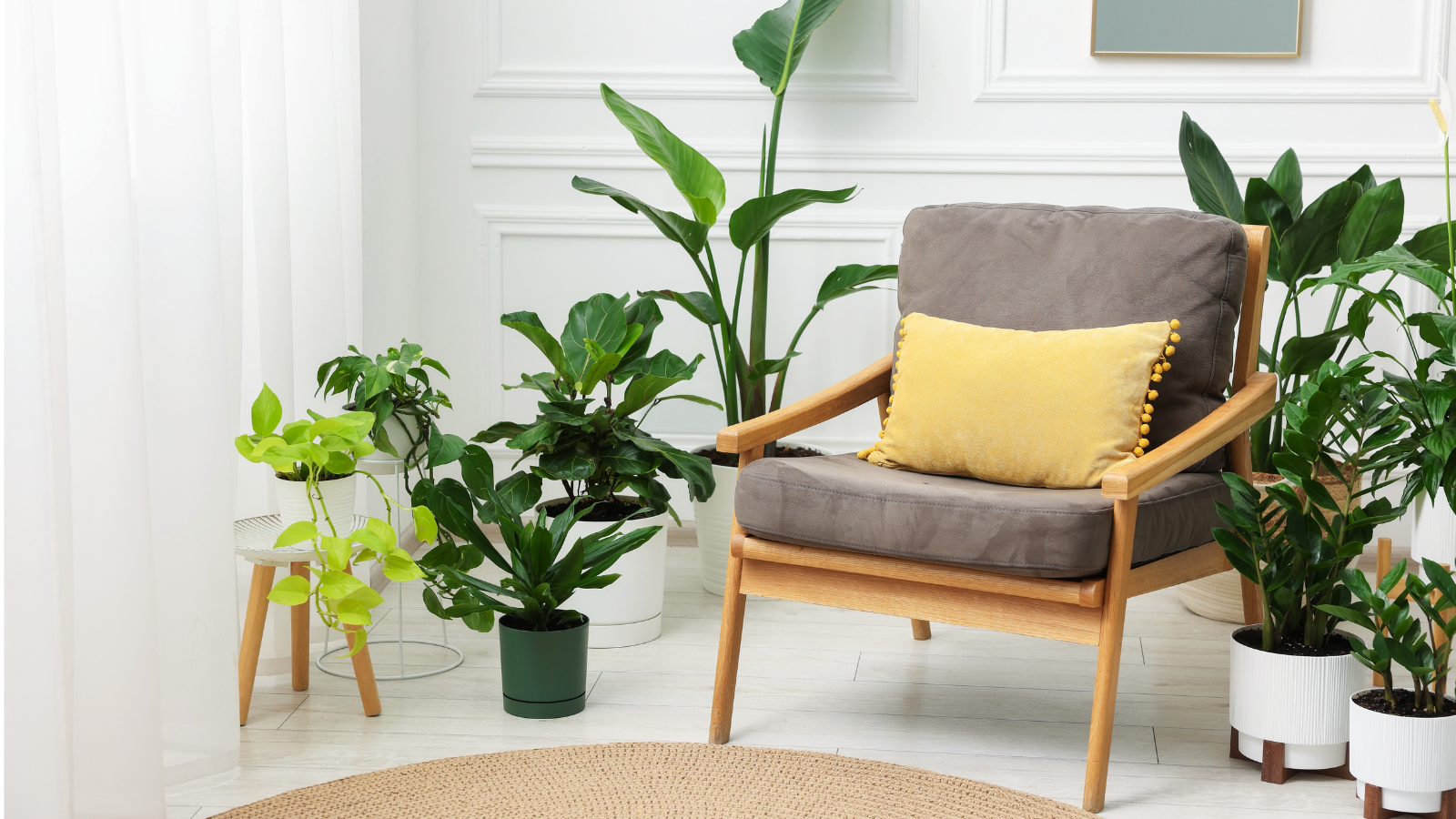 שיפוץ כורסאות ישנות